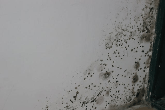 墙面老旧发霉怎么处理？翻新计划安排上 - 翻新攻略