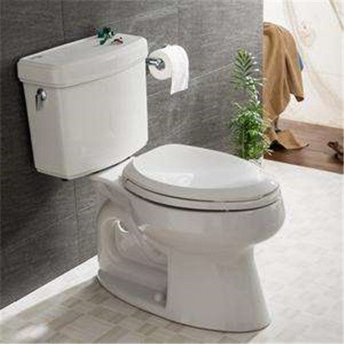 什么品牌的马桶质量好 马桶什么冲水方式好 - 选购指南