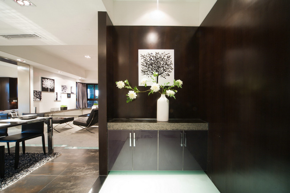 雅致摩登现代玄关装饰图 - 效果图