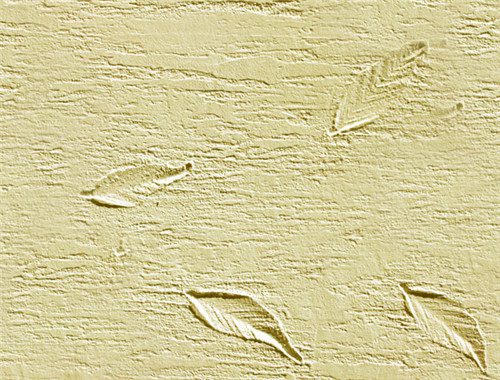 硅藻泥有毒有害吗 硅藻泥有哪些功能作用 - 选购指南