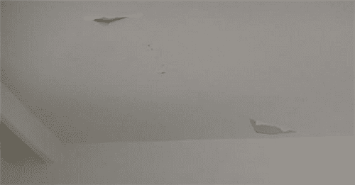 墙面漆开裂是怎么回事 预防措施戳这里↓ - 翻新攻略