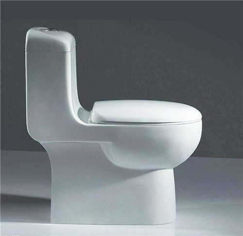 怎样选马桶才正确 选购马桶的四种办法 - 选购指南