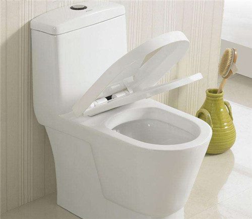 购马桶的5大技巧 选购马桶的注意事项 - 选购指南