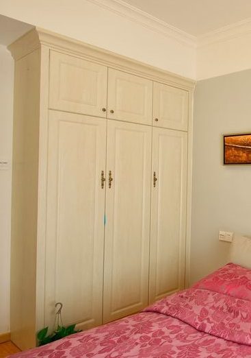 现代风格客厅简约衣柜效果图