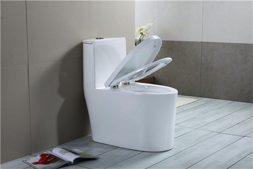 座便器马桶该怎么选购 几个关键要点需掌握 - 选购指南