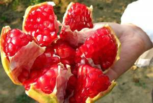 装修完油漆味重怎么处理呢？王师傅22招帮您解决 ！ - 翻新攻略