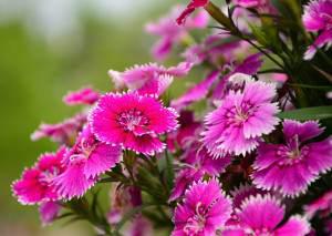 装修完油漆味重怎么处理呢？王师傅22招帮您解决 ！ - 翻新攻略