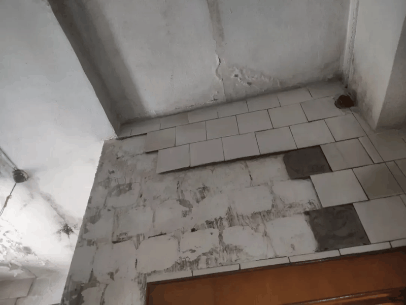 自动草稿 自动草稿