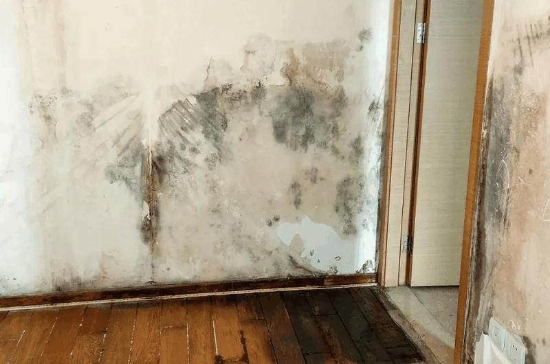 自动草稿 自动草稿